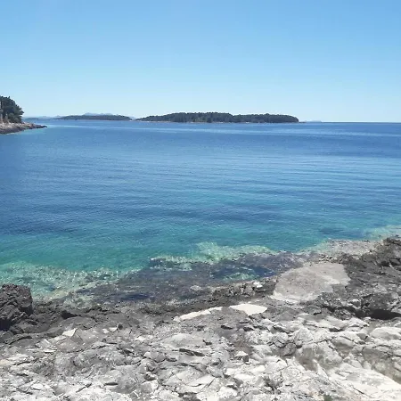 Bonaparte Vela Luka